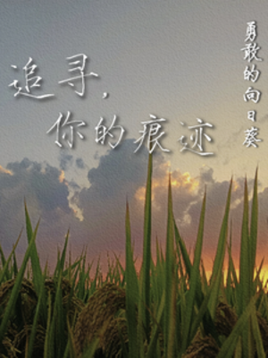 1336145wp1vdnp7pnbvpzt.png